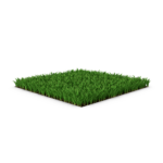 St Augustine Grass Lawn.H03.2k